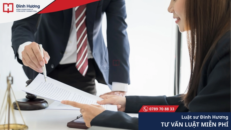 dịch vụ tư vấn luật đấu thầu
