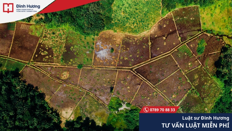 Khi có tranh chấp, phải tiến hành đo lại đất đai Khi có tranh chấp, phải tiến hành đo lại đất đai