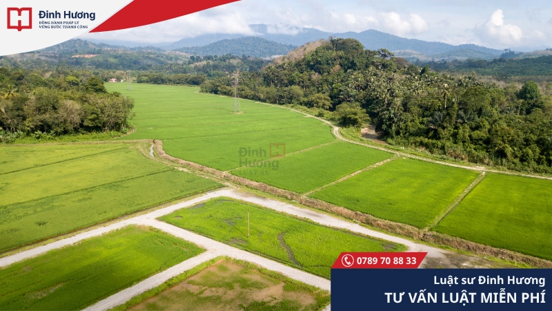 Các trường hợp cho thuê đất thu tiền thuê đất hàng năm
