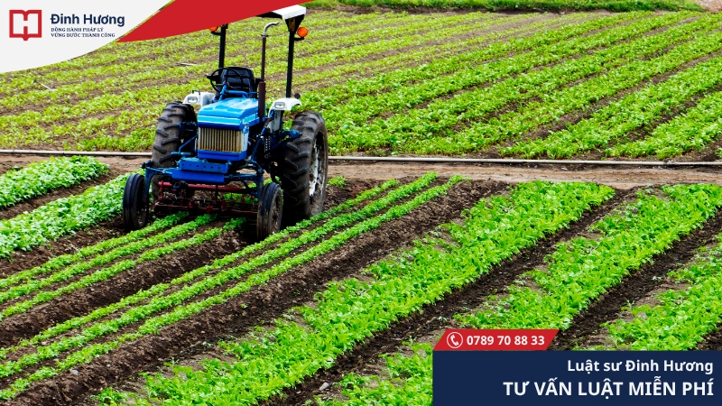 Thuế đất đai nông nghiệp là khá thấp Thuế đất đai nông nghiệp là khá thấp