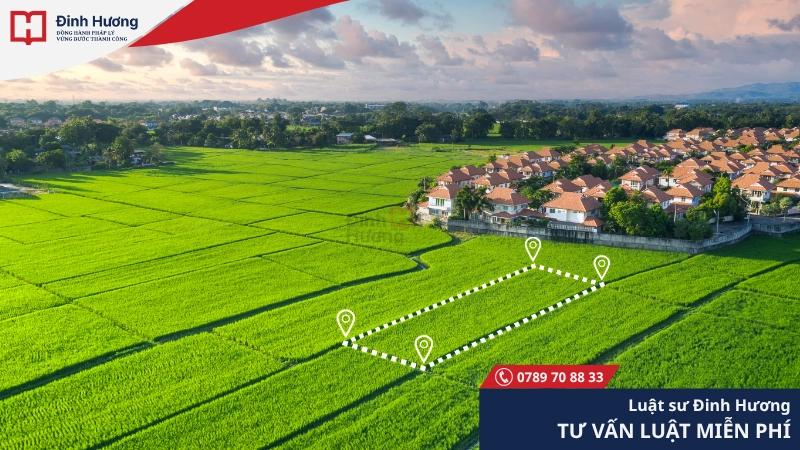 Xác định ranh giới đất đai rõ ràng để tránh tranh chấp đất đai khi xây dựng