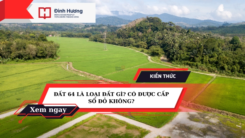 đất 64 là gì