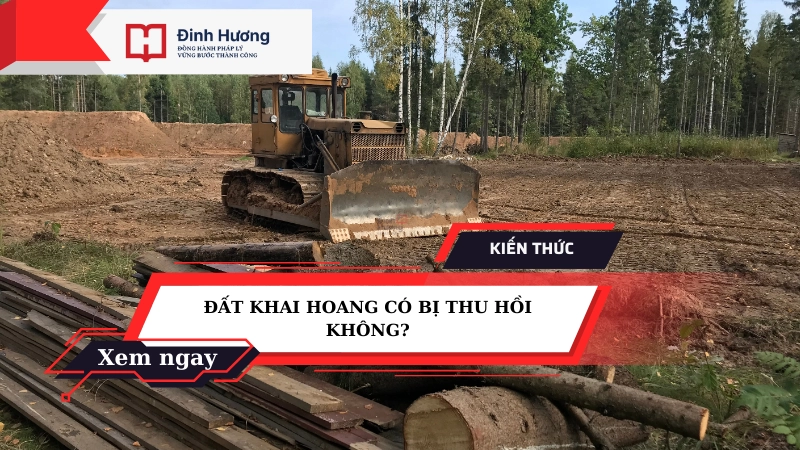 đất khai hoang có bị thu hồi không