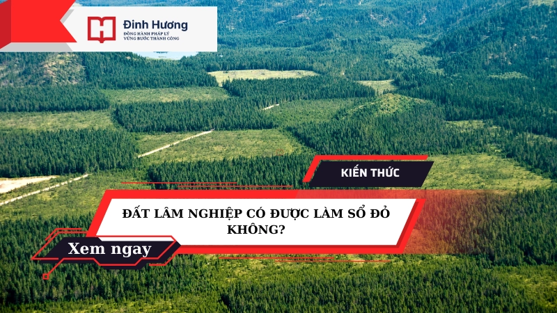 sổ đỏ đất lâm nghiệp