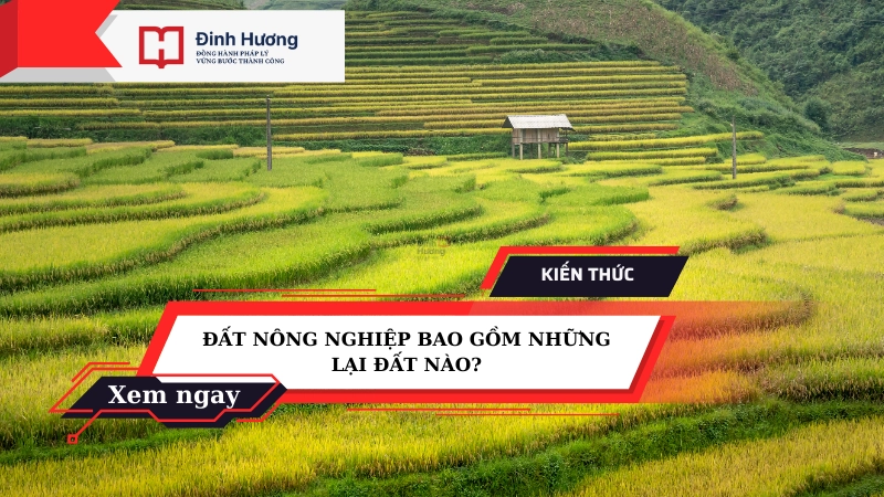 các loại đất nông nghiệp