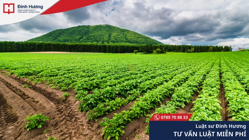 Đất nông nghiệp sử dụng trước 01/7/2004 vẫn được đền bù Đất nông nghiệp sử dụng trước 01/7/2004 vẫn được đền bù