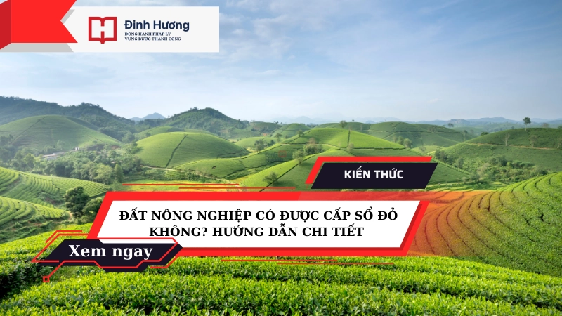 đất nông nghiệp có được cấp sổ đỏ