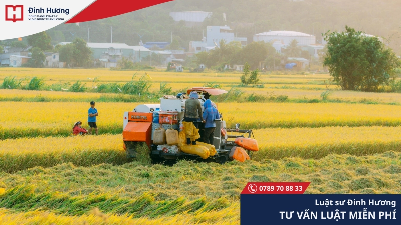 Đất trồng cây hằng năm