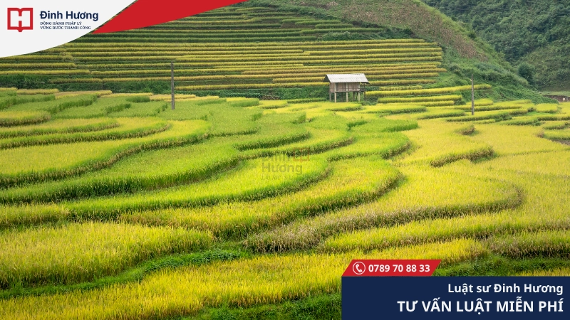 Đất giao khoán là đất được các tổ chức quản lý giao cho 1 bên khác sử dụng Đất giao khoán là gì