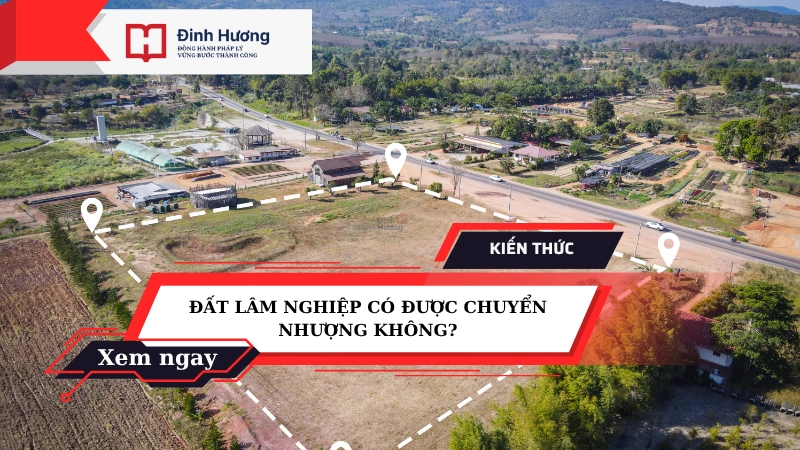 đất lâm nghiệp có được chuyển nhượng không