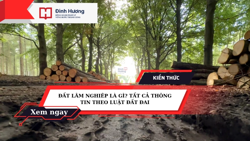 đất lâm nghiệp là gì