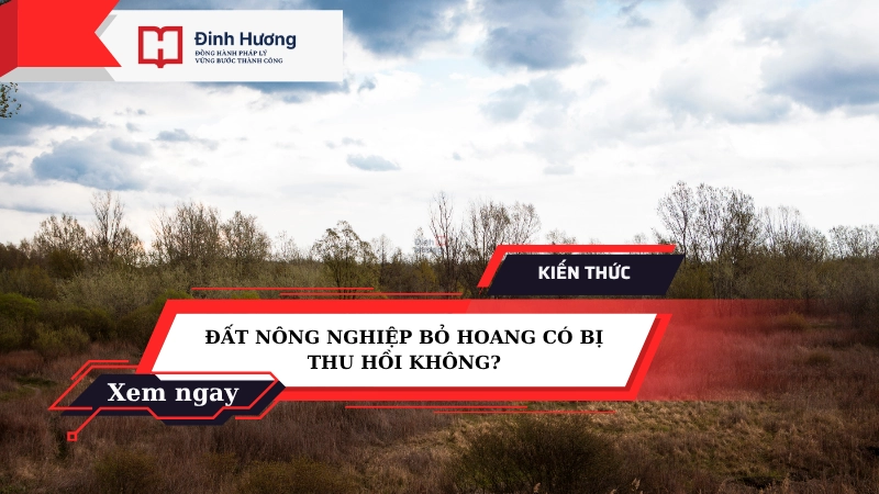 thu hồi đất nông nghiệp bỏ hoang