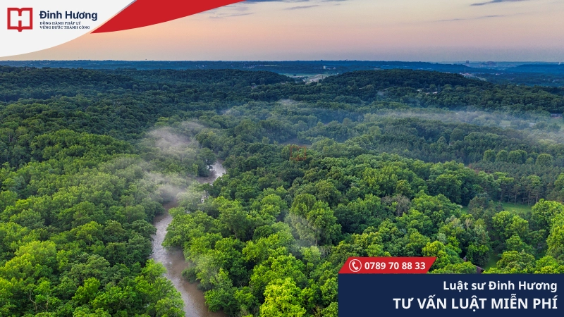 Đất rừng 24 tháng bị bỏ hoang sẽ bị thu hồi