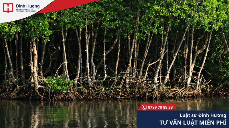 Đất rừng đặc dụng chủ yếu phục vụ cho việc bảo tồn thiên nhiên Đất rừng đặc dụng