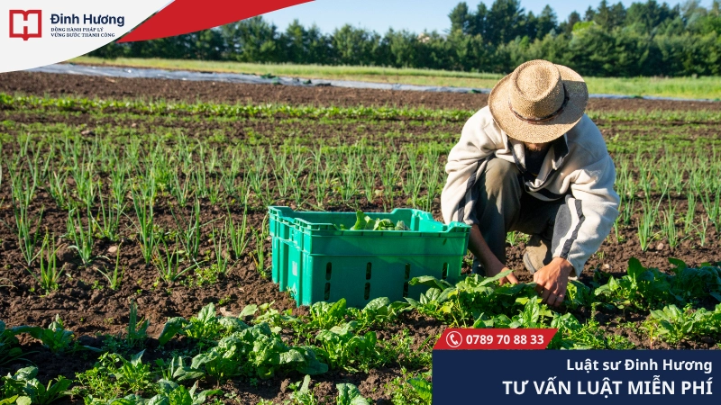 Bạn vẫn có quyền sử dụng đất theo mục đích được cấp