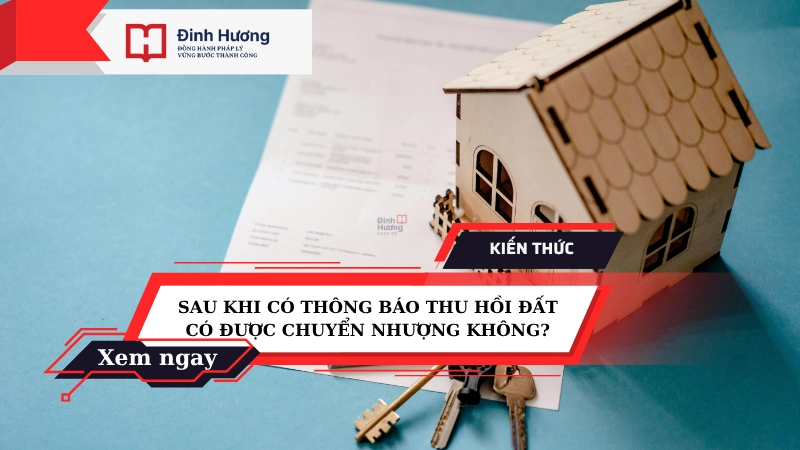 sau khi có thông báo thu hồi đất