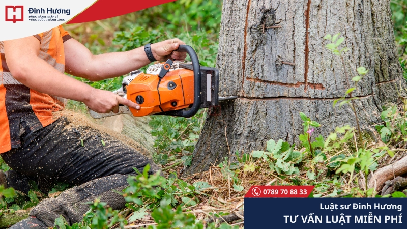 Bồi thường thiệt hại về cây trồng, vật nuôi Bồi thường thiệt hại về cây trồng, vật nuôi