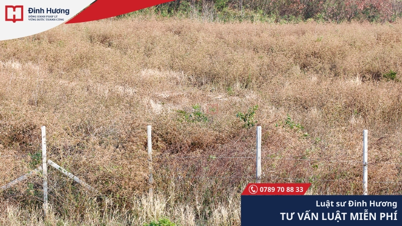 Cắm mốc ranh giới đất là gì