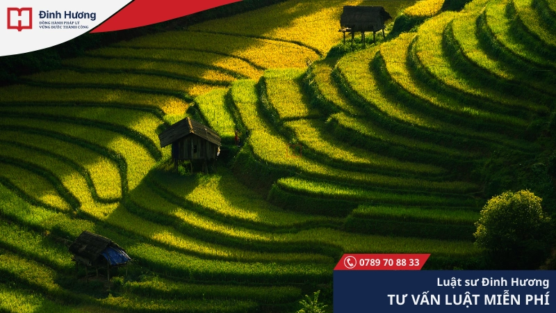 Cắm mốc ranh giới đất ruộng bậc thang là một trường hợp đặc biệt