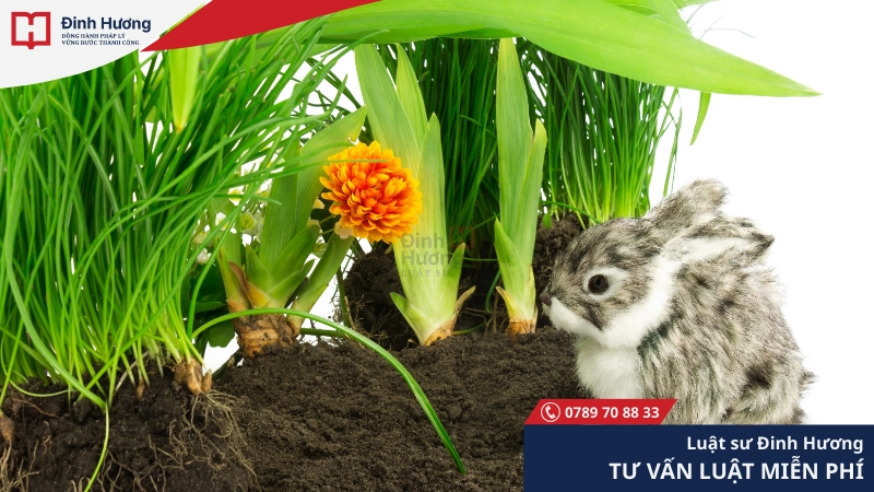 Các tài sản khác như cây trồng và vật nuôi cũng được bồi thường