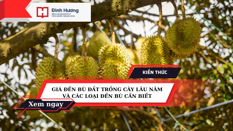 giá đền bù đất trồng cây lâu năm