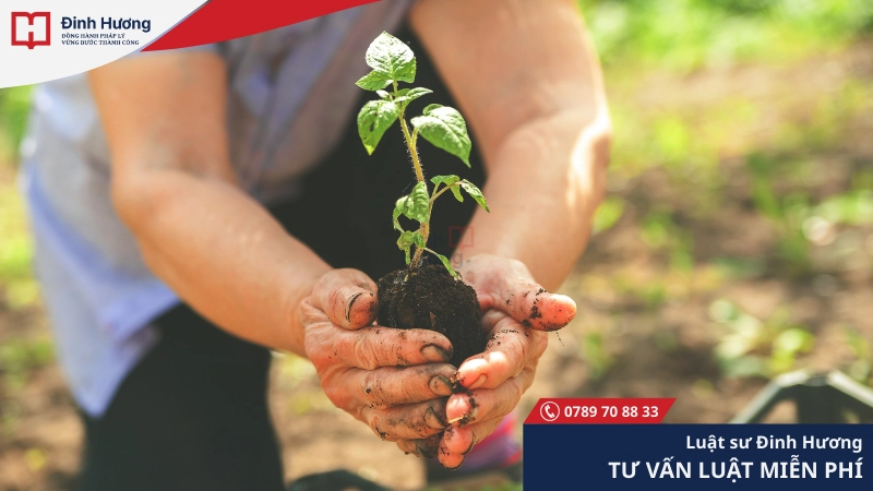 Chính sách của nhà nước về việc bồi thường thiệt hại đối với cây trồng trên đất rừng bồi thường thiệt hại đối với cây trồng trên đất rừng