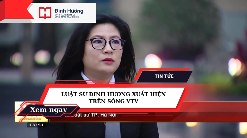 luật sư đinh hương xuất hiện trên sóng vtv